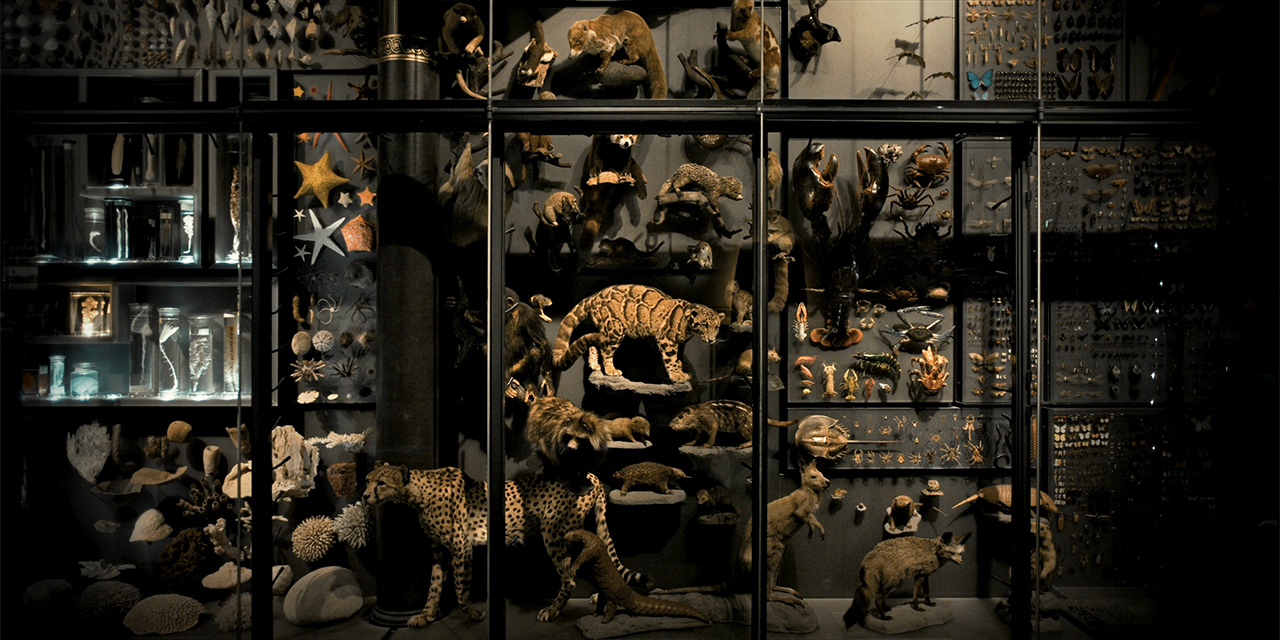 photo: studio carsten nicolai ENDO EXO